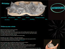 Tablet Screenshot of catterydodi.com